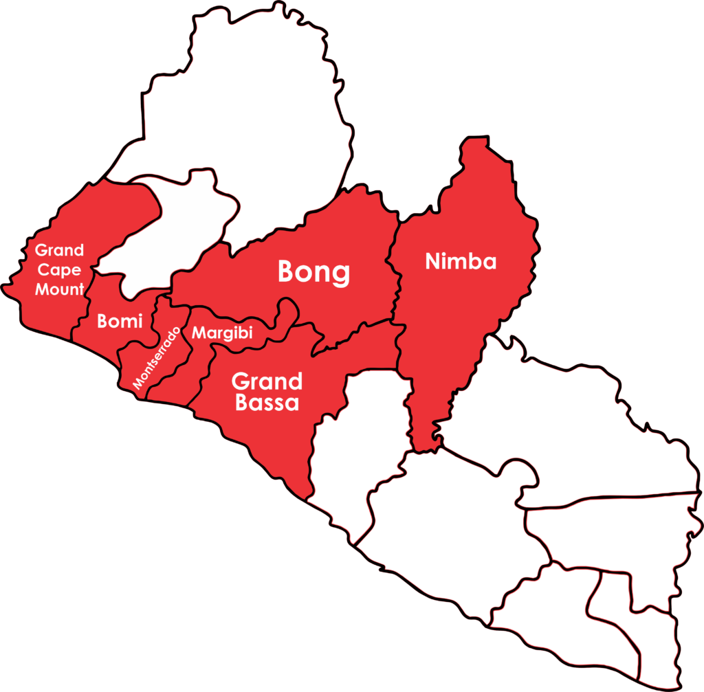 Internet Service Provider in Liberia