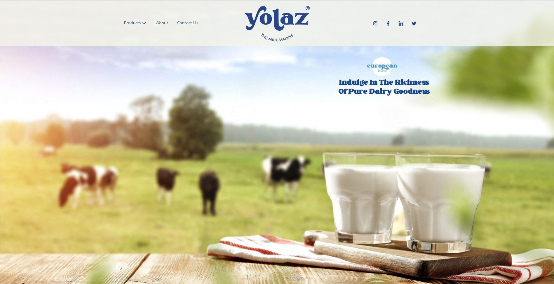 Responsive website for Yolaz Dairy created by Telecel Liberia – showcasing web development in Liberia