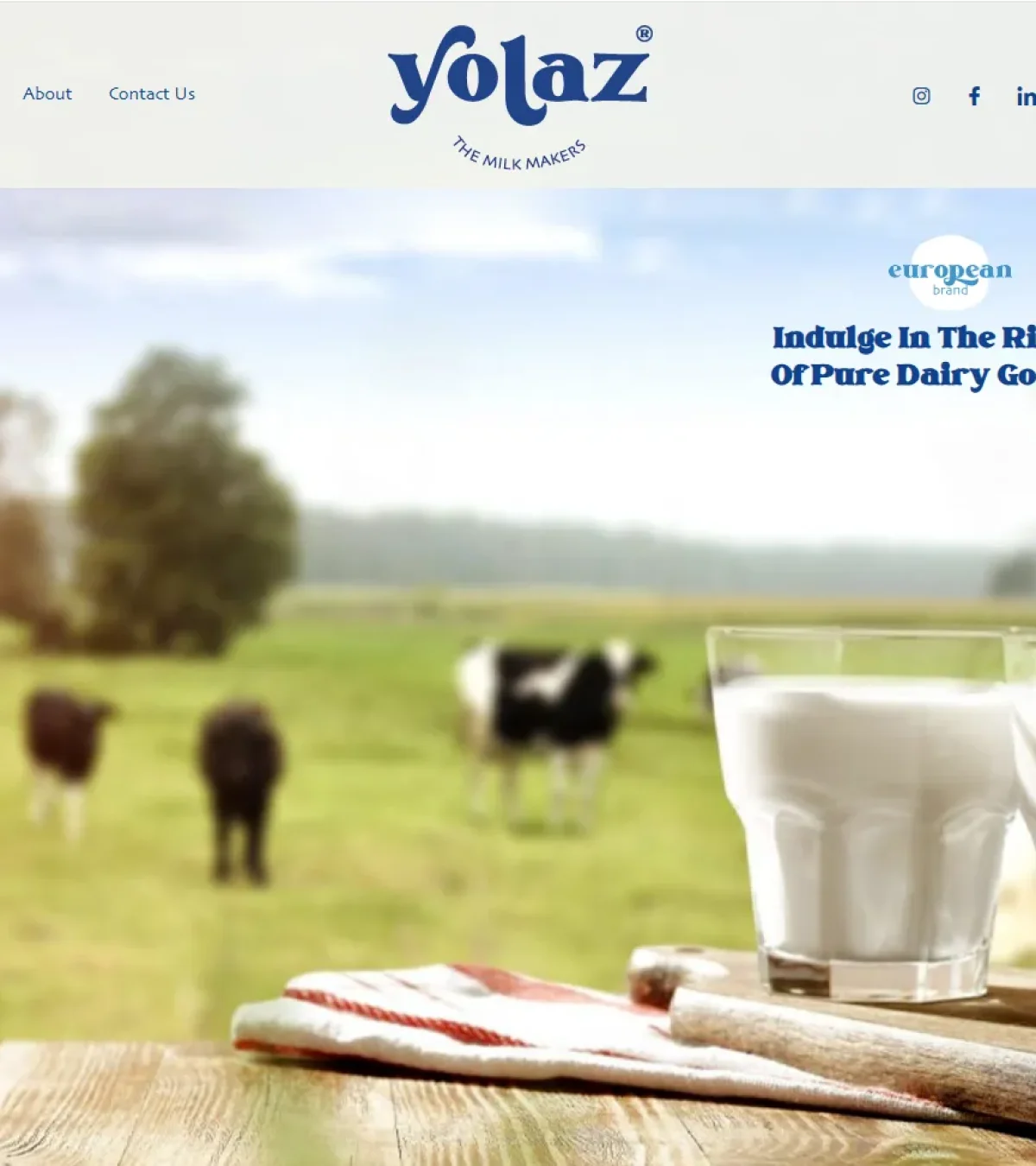 Responsive website for Yolaz Dairy created by Telecel Liberia – showcasing web development in Liberia